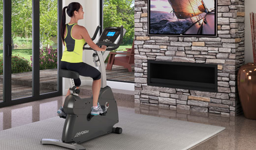 Heimtrainer
