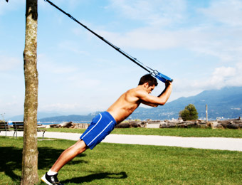 The Human Trainer