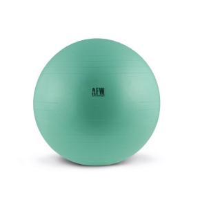 AFW Gymball Antiburst