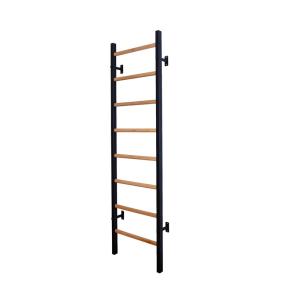 BenchK Sprossenwand 200B