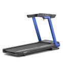 Reebok Laufband FR30z Floatride