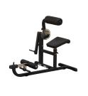Body-Solid Bauch- und Rückentrainer GCAB360B